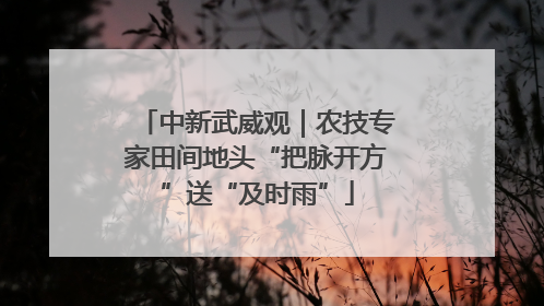 中新武威观｜农技专家田间地头“把脉开方”送“及时雨”