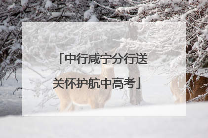 中行咸宁分行送关怀护航中高考