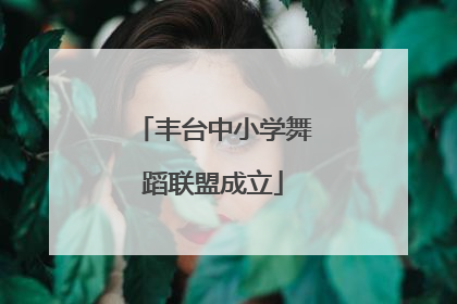 丰台中小学舞蹈联盟成立