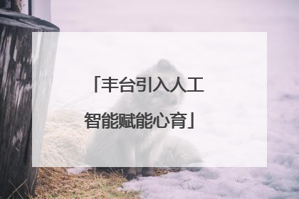 丰台引入人工智能赋能心育