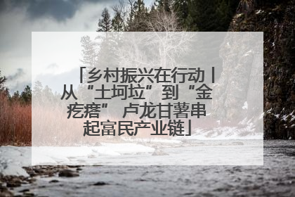 乡村振兴在行动丨从“土坷垃”到“金疙瘩” 卢龙甘薯串起富民产业链
