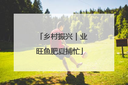 乡村振兴｜业旺鱼肥夏捕忙