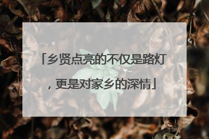 乡贤点亮的不仅是路灯，更是对家乡的深情