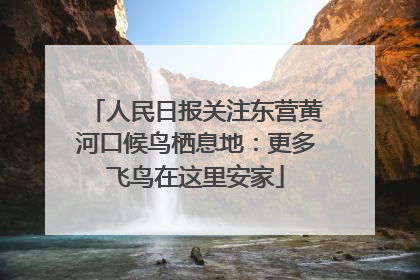 人民日报关注东营黄河口候鸟栖息地：更多飞鸟在这里安家