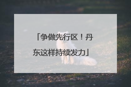 争做先行区！丹东这样持续发力