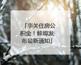事关住房公积金！蚌埠发布最新通知