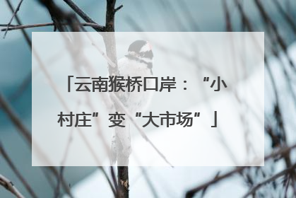 云南猴桥口岸：“小村庄”变“大市场”