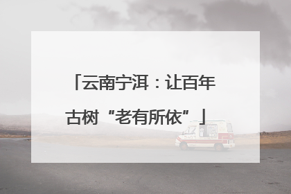 云南宁洱：让百年古树“老有所依”