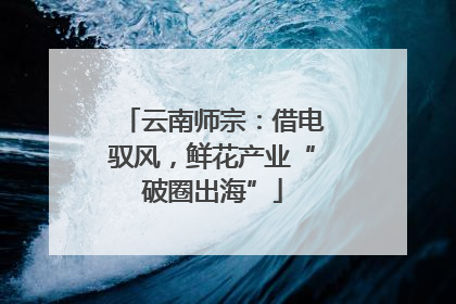 云南师宗：借电驭风，鲜花产业“破圈出海”