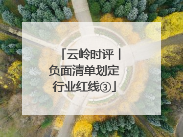 云岭时评丨负面清单划定行业红线③