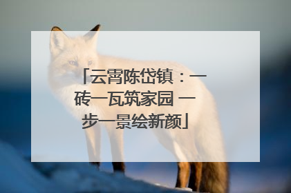 云霄陈岱镇：一砖一瓦筑家园 一步一景绘新颜