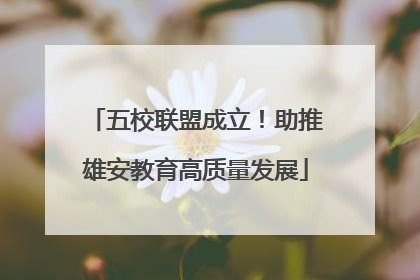 五校联盟成立！助推雄安教育高质量发展