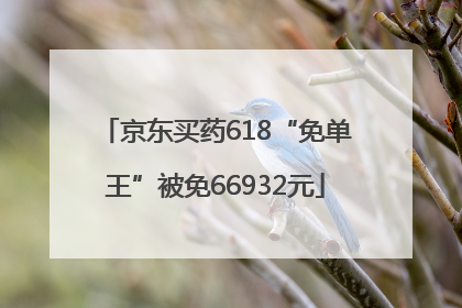 京东买药618“免单王”被免66932元
