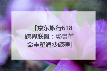 京东旅行618跨界联盟：场景革命重塑消费旅程