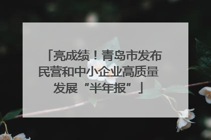亮成绩！青岛市发布民营和中小企业高质量发展“半年报”