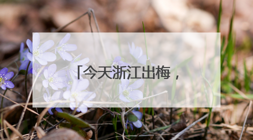 今天浙江出梅，40℃酷热接棒