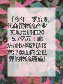 今年一季度现代商贸物流产业实现增加值205.7亿元！廊坊加快构建链接京津冀面向全世界的物流通道