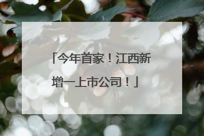 今年首家！江西新增一上市公司！