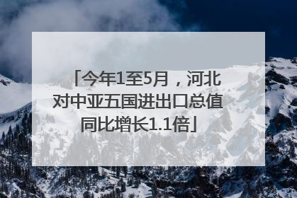 今年1至5月，河北对中亚五国进出口总值同比增长1.1倍