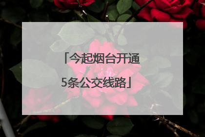 今起烟台开通5条公交线路