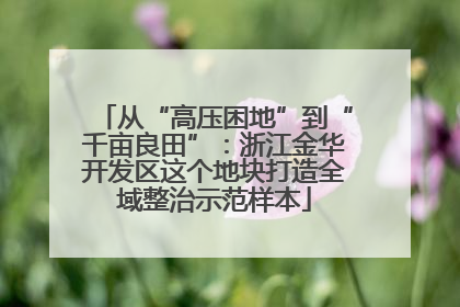 从“高压困地”到“千亩良田”：浙江金华开发区这个地块打造全域整治示范样本