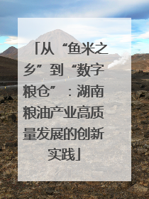 从“鱼米之乡”到“数字粮仓”：湖南粮油产业高质量发展的创新实践