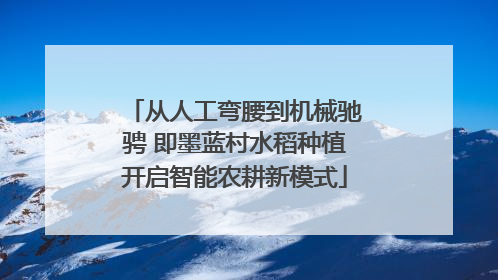 从人工弯腰到机械驰骋 即墨蓝村水稻种植开启智能农耕新模式