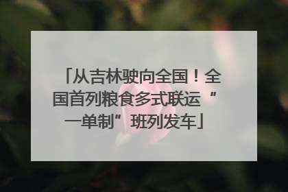 从吉林驶向全国！全国首列粮食多式联运“一单制”班列发车