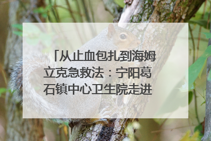 从止血包扎到海姆立克急救法：宁阳葛石镇中心卫生院走进这所中学，让师生get全套救命技能