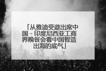 从雅迪受邀出席中国－印度尼西亚工商界晚餐会看中国智造出海的底气