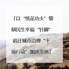 以“绣花功夫”缝制民生幸福“针脚” 宿迁城市治理“十项行动”加速落地