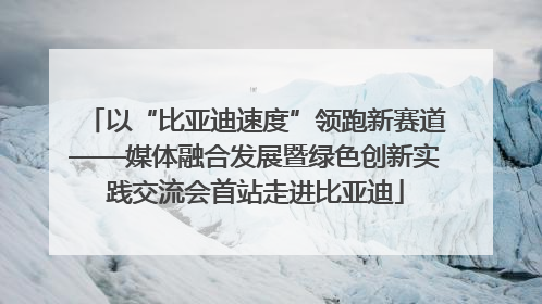 以“比亚迪速度”领跑新赛道——媒体融合发展暨绿色创新实践交流会首站走进比亚迪