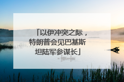 以伊冲突之际，特朗普会见巴基斯坦陆军参谋长