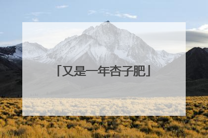 又是一年杏子肥