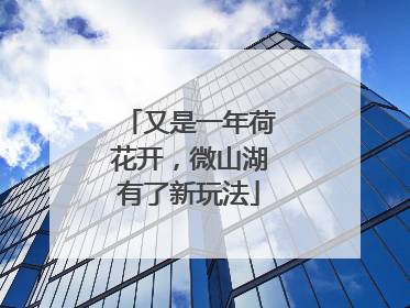 又是一年荷花开，微山湖有了新玩法