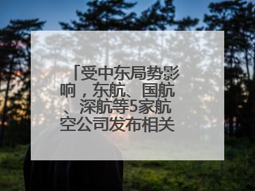 受中东局势影响，东航、国航、深航等5家航空公司发布相关航线退改政策