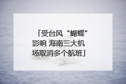 受台风“蝴蝶”影响 海南三大机场取消多个航班