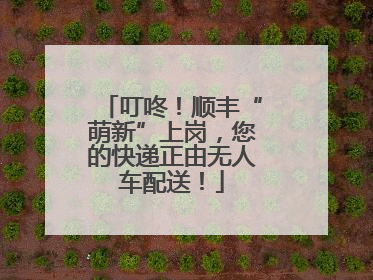 叮咚！顺丰“萌新”上岗，您的快递正由无人车配送！