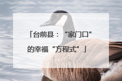 台前县：“家门口”的幸福“方程式”