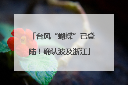 台风“蝴蝶”已登陆！确认波及浙江