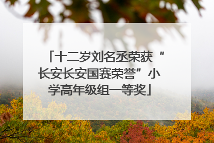 十二岁刘名丞荣获“长安长安国赛荣誉”小学高年级组一等奖