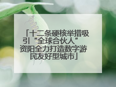 十二条硬核举措吸引“全球合伙人” 资阳全力打造数字游民友好型城市
