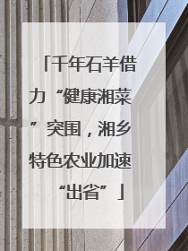 千年石羊借力“健康湘菜”突围，湘乡特色农业加速“出省”