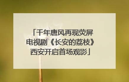 千年唐风再现荧屏 电视剧《长安的荔枝》西安开启首场观影