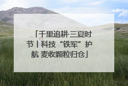 千里追耕·三夏时节丨科技“铁军”护航 麦收颗粒归仓