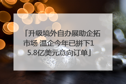 升级境外自办展助企拓市场 温企今年已拼下15.8亿美元意向订单