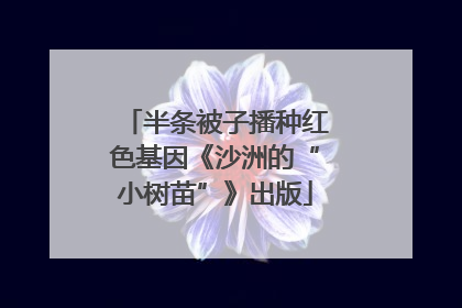 半条被子播种红色基因《沙洲的“小树苗”》出版