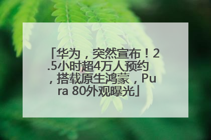 华为，突然宣布！2.5小时超4万人预约，搭载原生鸿蒙，Pura 80外观曝光