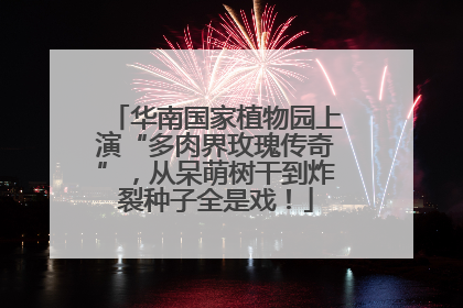华南国家植物园上演“多肉界玫瑰传奇”，从呆萌树干到炸裂种子全是戏！