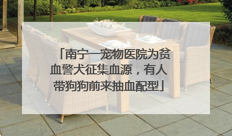 南宁一宠物医院为贫血警犬征集血源，有人带狗狗前来抽血配型